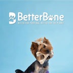 BetterBone - Soft Density - Ideal - Image 2
