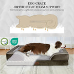 Comfort Expression Orthopedic Dog Bed - Image 2