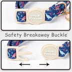 Unique style paws 2 Pack Spring Summer Kitten Collar Breakaway - Image 3