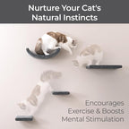 Wall Mounted Cat Shelves by Pryde Pets - Image 5