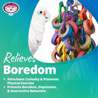 Super Bird Creations SB1107 Bagel Cascade Bird Toy, Large Bird Size, Refillable - Image 6