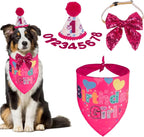 PTDECOR Dog Birthday Party Supplies, Girl Dog Birthday Hat by PTDECOR