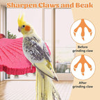 3 Pcs Parrot Perch Resin Bird Beak Grinding Stone Leaf Shape Perch Stand Foot - Image 5