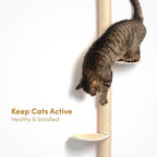 51" Wall-Mounted Cat Tree – Modern Space-Saving Cat Shelf - Image 4