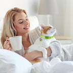 2PCS Breakaway Cat Collars - Image 2