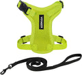 Voyager Escape-Proof Step-in Lock Cat Harness & 5ft Neoprene-Handle Leash Set by BestPetSuppliesLLC