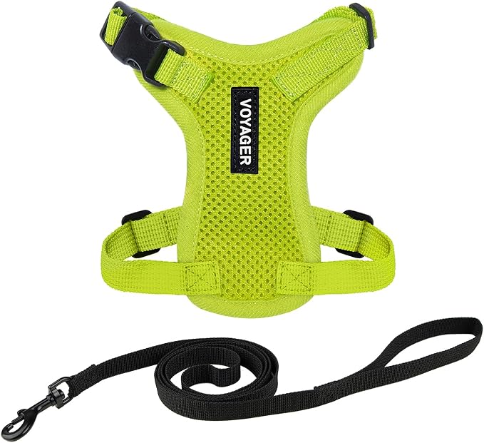 Voyager Escape-Proof Step-in Lock Cat Harness & 5ft Neoprene-Handle Leash Set by BestPetSuppliesLLC