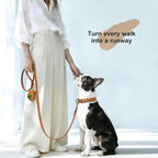 Didog Soft PU Leather Dog Collar, Stylish Quick Released Dog Collars - Image 4