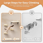 17" × 13" Large Cat Wall Shelves- Wall Climber Wooden Furniture Cat Shelf - Image 5