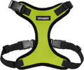 Voyager Step-in Pet Harness by BestPetSuppliesLLC