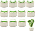 12 Pack Aquarium Plant Weights, Aquatic Plants Fixed Ring Set, Anti-Floating by SimpleLifeRicherHeart