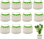 12 Pack Aquarium Plant Weights, Aquatic Plants Fixed Ring Set, Anti-Floating by SimpleLifeRicherHeart