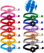 13Pcs Puppy Collars, Cat ID Collars by Flymind
