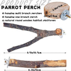 Libiline 8 Pieces Bird Perch Natural Wooden Parrot Perch Stand Fork Toys - Image 2