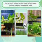 2PC 7 Holes Upgraded Aquarium Plant Holder, Aquatic Plants Cup - Image 3