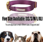 Nylon Dog Collar - Image 7