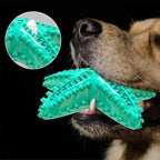 Chew Toy for Dog Toothbrush Stick Dog Toys for Aggressive Chewers Interactive - Image 4