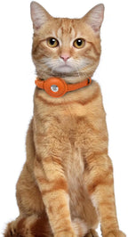 OOPSDOGGY Leather AirTag Cat Collar - Image 6