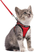 rabbitgoo Cat Harness and Leash Set by rabbitgoo