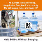 Large Cat Window Perch with Industrial-Grade Suction Cups - Image 3