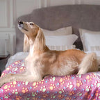 Dog Blankets for Medium Large Dogs Washable, 3 Pack Pet Blanket Washable 41" x - Image 7