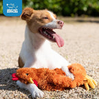 Best Pet Supplies Interactive Squeaky Dog Chew Toy, Ideal Dog Toys - Image 5