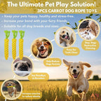3PCS Yellow Woven Pet Chew Set, Puppy Teething Chews, Dog Chew Accessories - Image 3