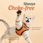 Dooradar Cat Harness and Leash Set, Escape Proof Safe Adjustable Kitten Vest - Image 2