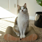 Necoichi Cardboard Cat Scratcher Bed - Image 5