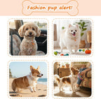 Halloween Dog Collars, Fall Dog Collar - Image 6