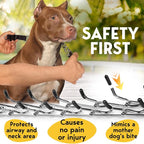 PetJett Prong Collar for Dogs - Image 3