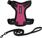 Voyager Escape-Proof Step-in Lock Cat Harness & 5ft Neoprene-Handle Leash Set by BestPetSuppliesLLC