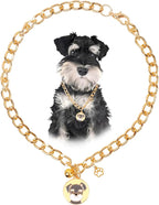 HOWWFALY Dog Collar and Cat Chain Necklace Stainless Steel Adjustable 18K Gold by HOWWFALY