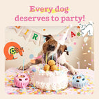 WOOF Pupsicle Birthday Pops - Image 6