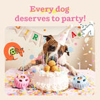 WOOF Pupsicle Birthday Pops - Image 6