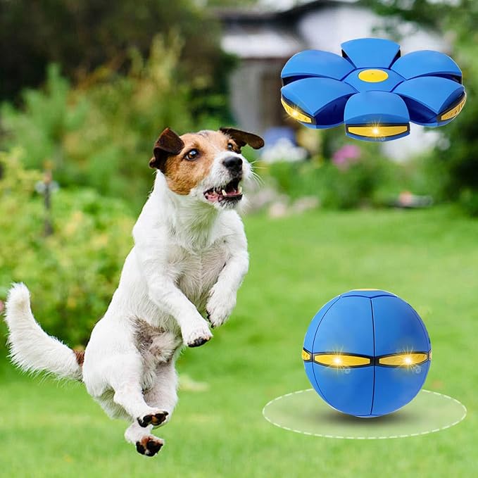 2PCS Dog Flying Disc Toy, Pet Toy Flying Saucer Ball - Image 2