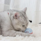 Rubber Cat Toy Balls with Inside Bell, Soft TPR Interactive Cat Ball Toys - Image 7