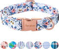 Unique style paws Dog Collar Metal Buckle Red Rose Collar Flower Gift Durable by Uniquestylepaws