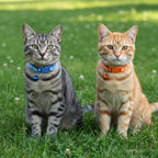 Breakaway Cat Collars with Bells, Mixed Colors - Image 8