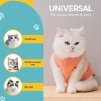 Avont Cat Recovery Suit - Image 5