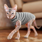 BRKURLEG Hairless Cats T Shirt, Cat Sweaters, Pullover Kitten Shirts, - Image 6