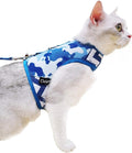 Cat Harness and Leash for Walking Escape Proof, Adjustable Cat Vest Harness by Yizhi+Miaow