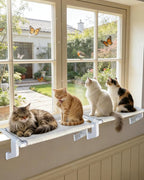 Heavy-Duty Cat Window Perch 2-Pack – All-Metal Frame Supports up to 120 lbs by NRYDEPET