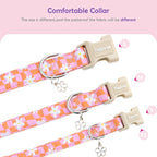 Faygarsle Floral Dog Collar, Spring Summer Design - Image 5