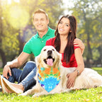 Silkfly 50 Pcs Summer Tie Dye Dog Bandanas Bulk Pet Scarf Grooming Salon - Image 3