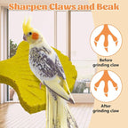 3 Pcs Parrot Perch Resin Bird Beak Grinding Stone Leaf Shape Perch Stand Foot - Image 5