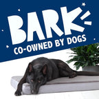 Barkbox Orthopedic Dog Bed - Image 7