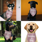 Dog Birthday Bandanas Boy Pink Dog Bandana Pet Scarf Bibs Accessories Party - Image 3