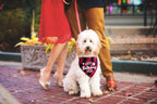 Ptzizi Funny Red Plaid Happy Birthday Mom Dog Printed Triangle Bandana - Image 5