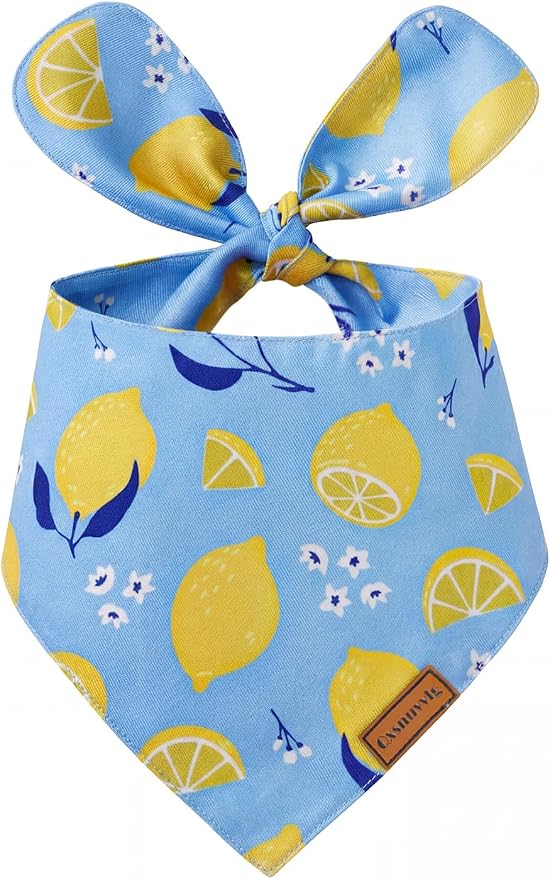 Luxury Double-Layer Dog Birthday Bandana – Handmade, Silk-Soft Polyester by Qxsnuvvlg